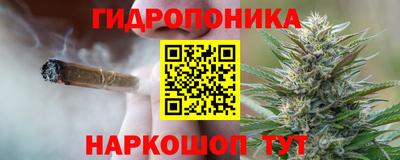 гидра Туймазы
