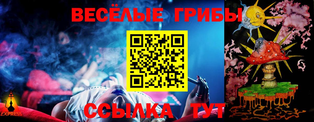 Псилоцибиновые грибы Psilocybine cubensis Нефтекумск