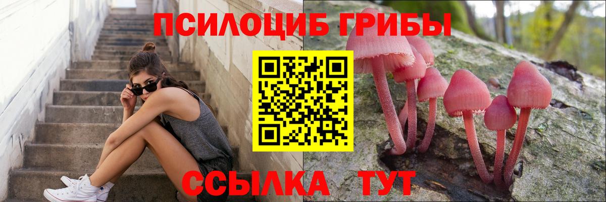Нефтекумск  Псилоцибиновые грибы Psilocybine cubensis  Вход с VPN  Псилоцибиновые грибы Psilocybe 